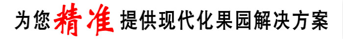 ʱ-ǲ!