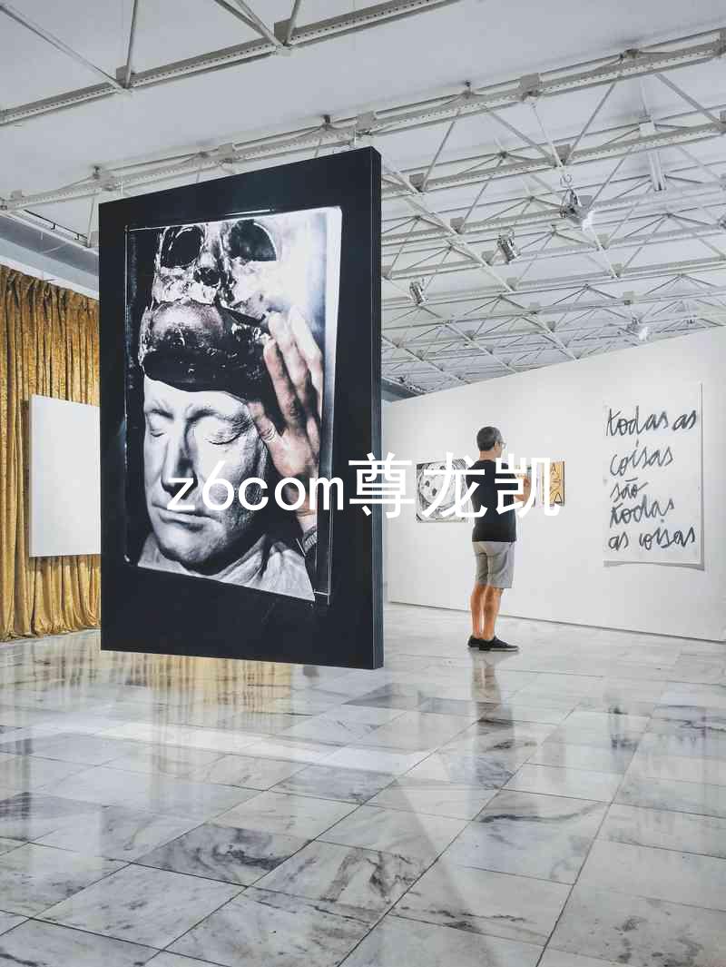 z6com尊龙凯