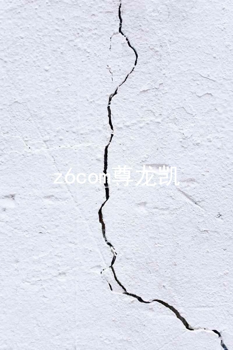z6com尊龙凯